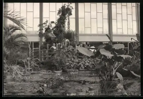 AK Berlin, Ausschnitt aus der Tropenhalle im Alfred-Brehm-Haus des Tierparks