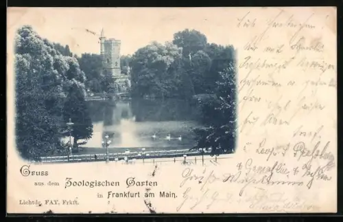 AK Frankfurt am Main, Partie im Zoologischen Garten mit Blick auf den Turm