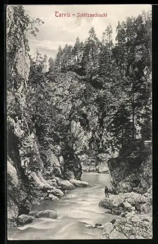 AK Tarvis, Schlitzaschlucht