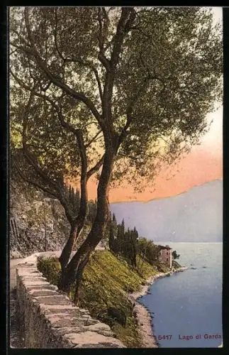 AK Garda /Lago di Garda, Panorama