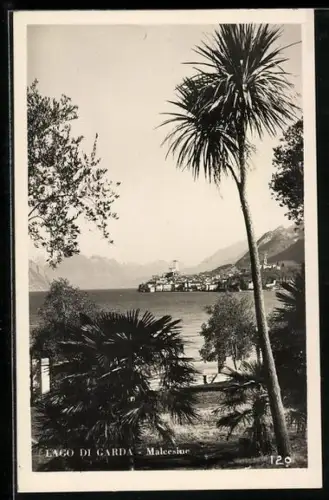 AK Malcesine /Lago di Garda, Panorama