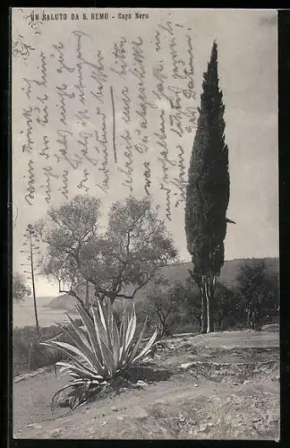 AK San Remo, Capo Nero
