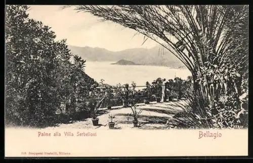 AK Bellagio, Palme alla Villa Serbelloni