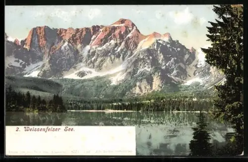 AK Tarvis, Weissenfelser-See, Blick auf See und Mangart