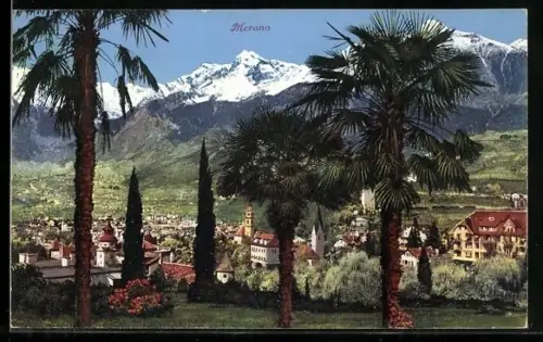 AK Merano, Panorama