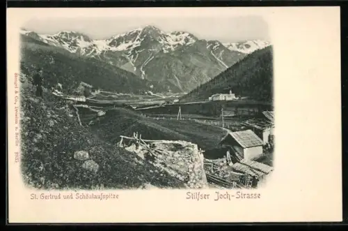 AK St. Gertrud /Stilfser Joch-Strasse, Panorama mit Schöntaufspitze