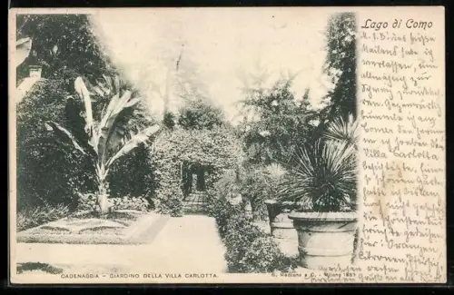 AK Cadenabbia /Lago di Como, Giardino della Villa Charlotta