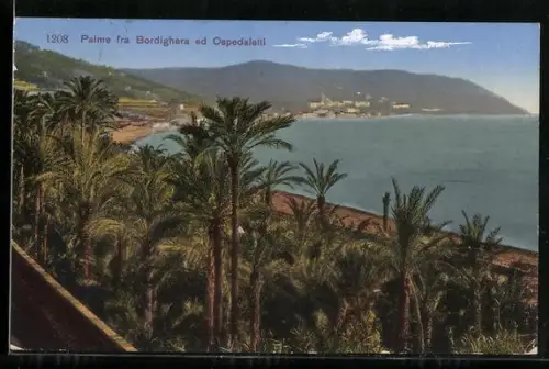 AK Bordighera /Ospedaletti, Palmen