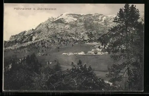 AK Plätzwiese, Ansicht mit Hotel und Dürrenstein