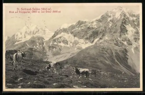 AK St. Gertraud-Sulden, Blick auf Königsspitze und Ortier