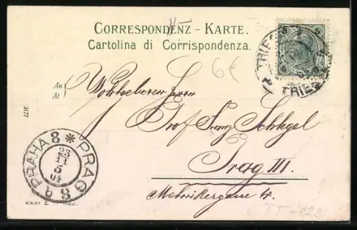 AK Trieste, Riva Carciotti