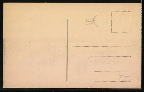 AK Trieste, Il Porto