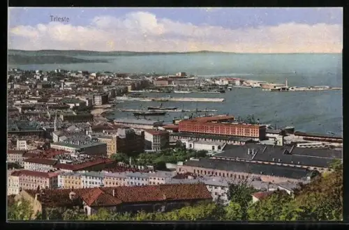 AK Trieste, Panorama