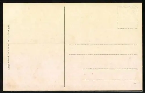 AK Trieste, Panorama