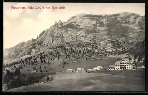 AK Plätzwiesen, Häuser und Gebirgspanorama