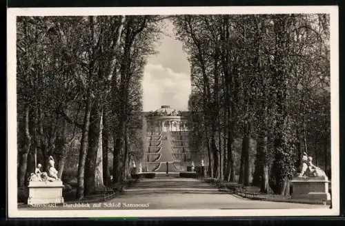 AK Potsdam-Sanssouci, Durchblick auf das Schloss Sanssouci