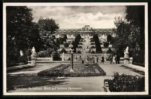 AK Potsdam-Sanssouci, Blick auf Schloss Sanssouci