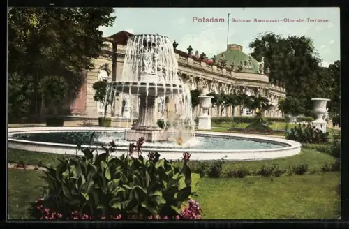 AK Potsdam, Schloss Sanssouci, Oberste Terrasse