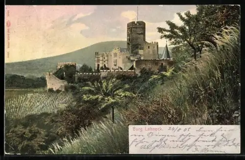 AK Burg Lahneck, Blick zur Burg