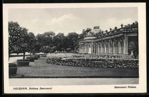 AK Potsdam, Schloss Sanssouci, Grünanlage