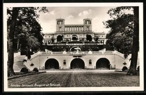 AK Potsdam, Sanssouci, Orangerie mit Terrassen