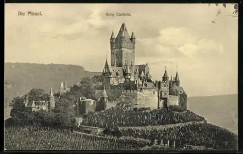 AK Burg Cochem /Mosel, Mit umgebenden Feldern