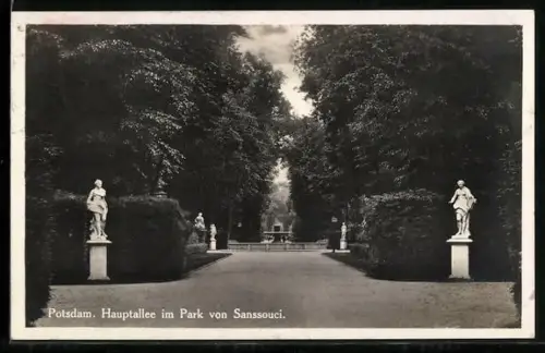 AK Potsdam, Hauptallee im Schlosspark Sanssouci