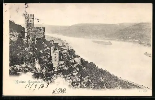 AK Burg Sonneck, Ruine mit anliegendem Wald