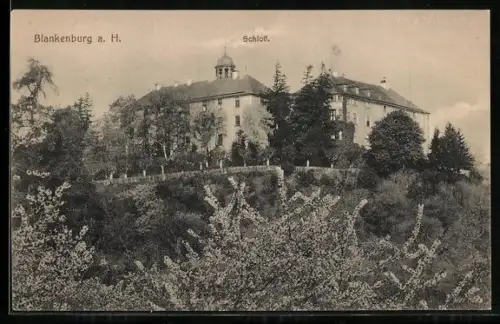 AK Blankenburg a. H., Schloss Blankenburg mit Umgebung