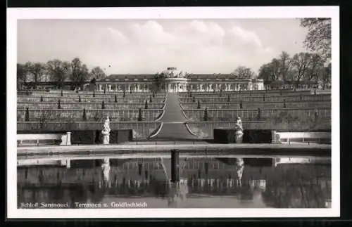 AK Schloss Sanssouci, Terrassen und Goldfischteich