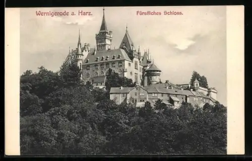 AK Wernigerode a. Harz, Fürstliches Schloss