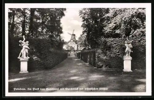 AK Potsdam, Im Park von Sanssouci mit Durchblick zur historischen Mühle