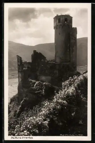 AK Ehrenfels, Die Ruine Ehrenfels mit Weinberg