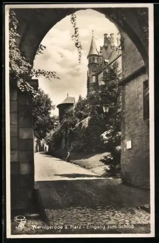 AK Wernigerode a. Harz, Eingang zum Schloss