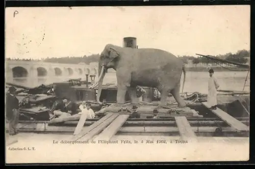 AK Tours, Le débarquement de l`Elephant Fritz, le 4 Mai 1902
