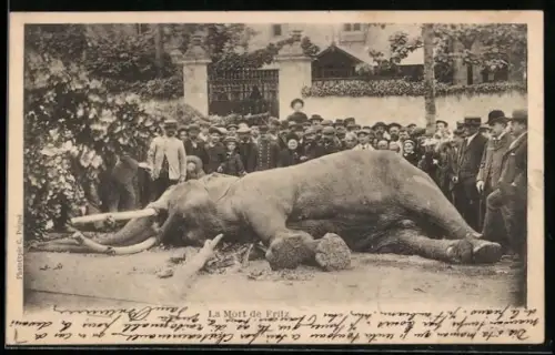 AK Tours, La Mort de Fritz