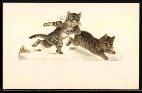 Präge-AK Zwei Kätzchen rennen durch den Schnee