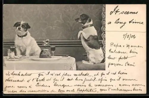 AK Zwei Hunde sitzen an einem gedeckten Tisch