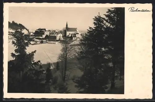 AK Puchenstuben /N.-Ö., Panorama mit Kirche