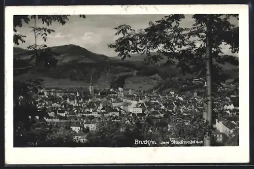 AK Bruck /M., Panorama vom Stadtwald aus