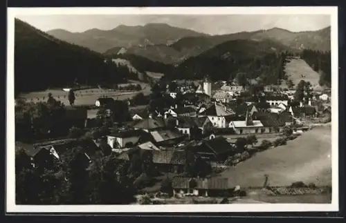 AK St. Aegyd b. NW., Dorfpanorama mit Kirche und Göller