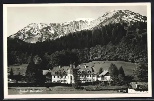 AK Mariazell, Schloss Brandhof mit Bergpanorama