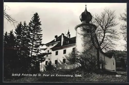 AK St. Peter am Kammersberg, Schloss Feistritz