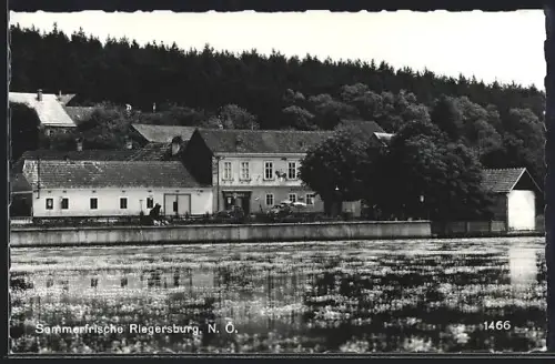 AK Hardegg /N.-Oe., Riegersburg, Uferpartie mit Wohnhäusern