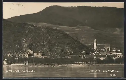 AK Spitz a. d. Donau, Donauufer mit Hotel Wachauerhof und Kirche, Inh. Rudolf Jedeck