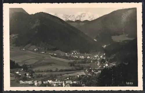 AK Waldegg /N.Ö., Panorama mit Schneeberg