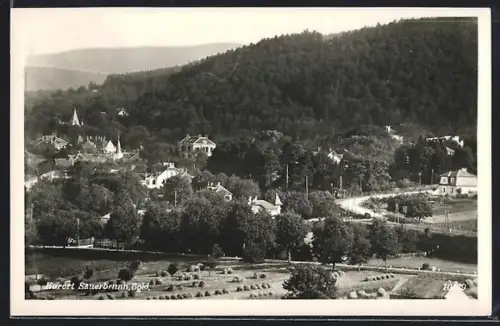 AK Sauerbrunn /Bgld., Mit Ortsansicht und Kirche