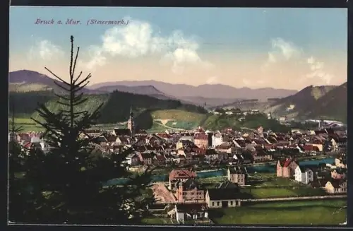 AK Bruck a. Mur., Panorama mit Kirche und Mur