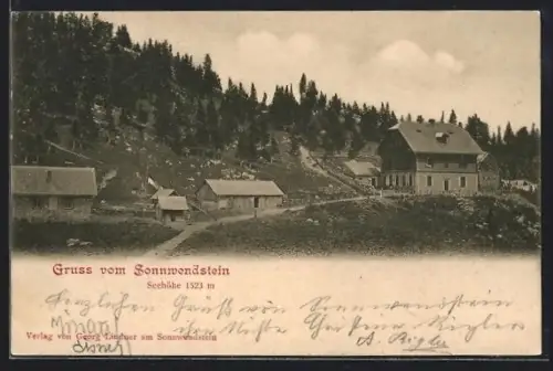AK Schottwien, Sonnwendstein, Hütten am Wald