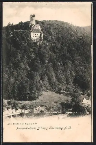 AK Thernberg /N.-Ö., Ferien-Colonie Schloss Thernberg